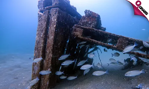 Explore the Underwater World in a Discover Scuba® Diving Experience by Deep Blue Diving Center!